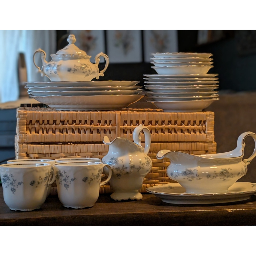 Johann Haviland Made In Germany 22 Piece China Set. Still New Condition